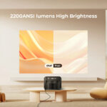 WhatsApp Image 2024-10-21 at 3.01.54 PM